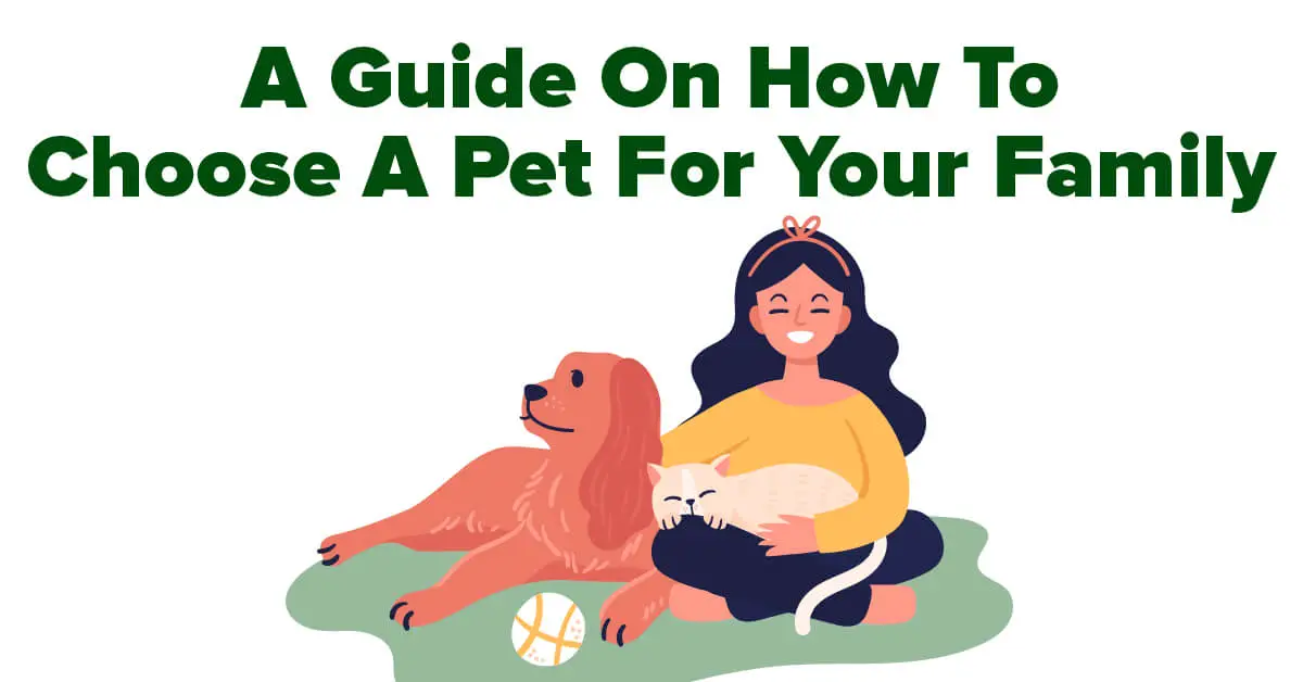 A Guide On How To Choose A Pet For Your Family