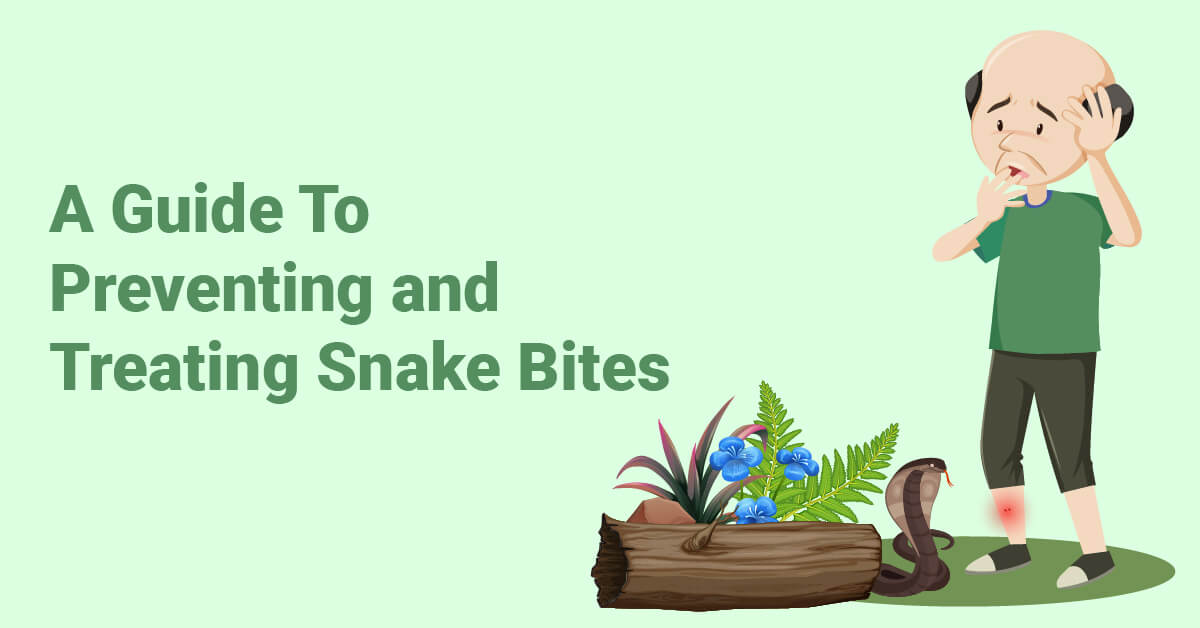 A Guide To Preventing and Treating Snake Bites