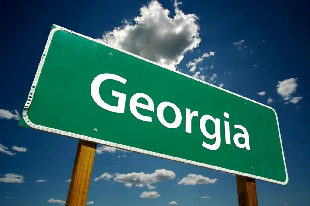 georgia state plate