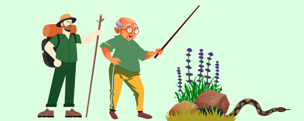 A hiker and a old man scaring away a snake