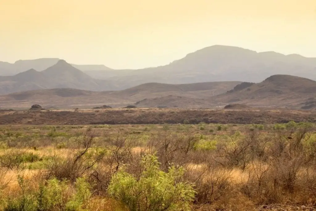 desert land in texas