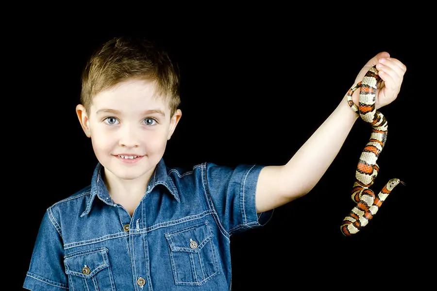 happy kid handling a milk snake