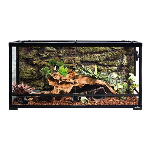 REPTI ZOO 50 Gallon Reptile Glass Tank Terrarium