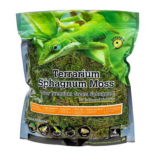sphagnum moss for terrariums